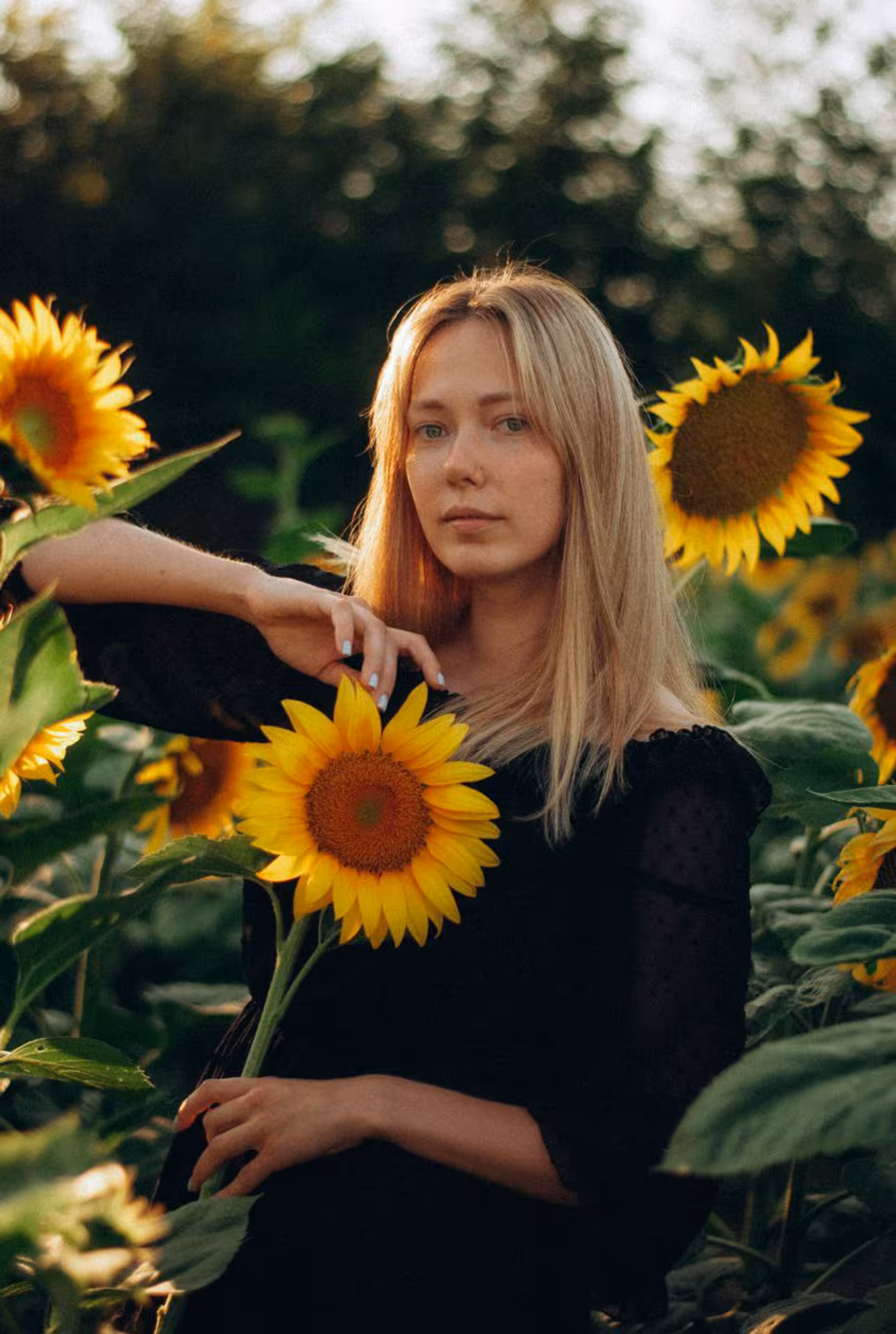 Anastasia russian dating app in usa